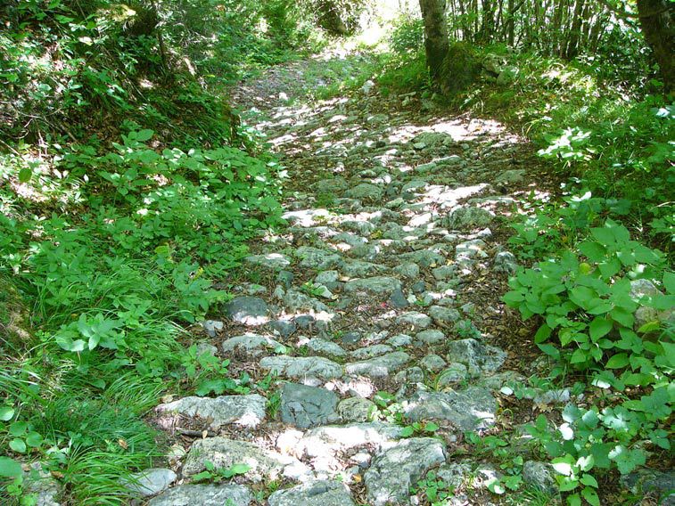 passo lanza